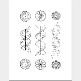 A-,B-, and Z-DNA Posters and Art